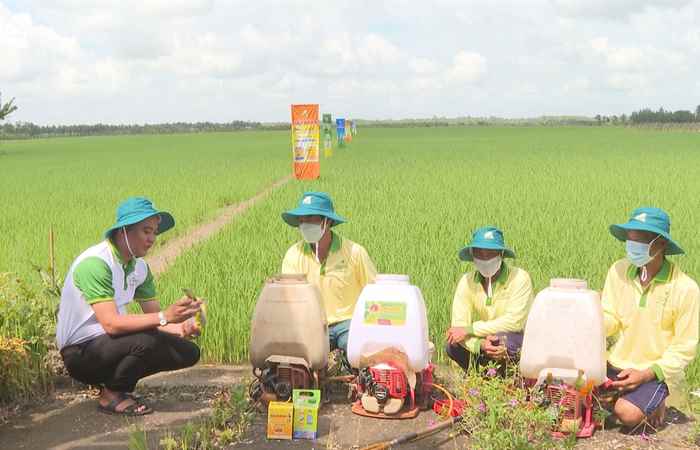  Cây khỏe nhà nông khỏe (05-11-2022)