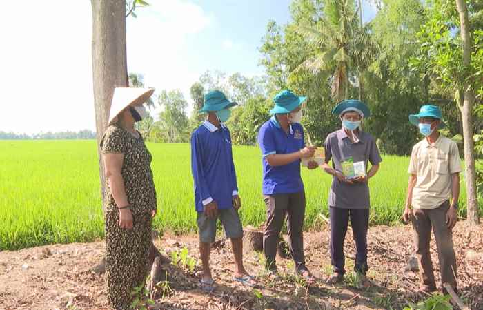 Phòng trừ đạo ôn sâu cuốn lá: hiệu quả tiết kiệm (10-07-2021)
