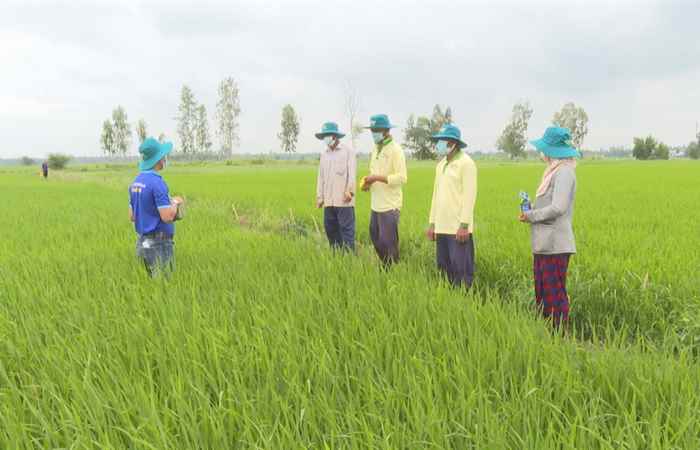 Cây khỏe Nhà nông khỏe (11-12-2021)