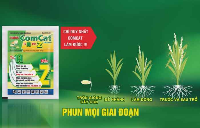 Cây khỏe nhà nông khỏe (15-05-20210