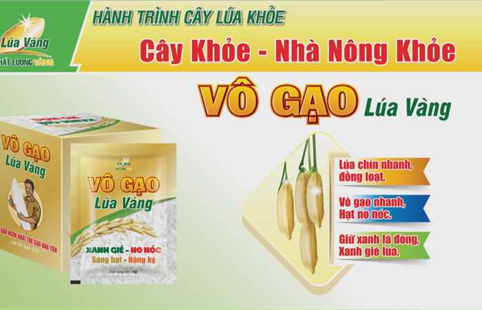 Cây khỏe nhà nông khỏe: Lem lép do nấm hay vi khuẩn (19-08-2023)