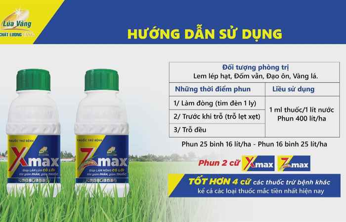 Bảo vệ cây lúa giai đoạn đòng - trổ hiệu quả tiết kiệm (20-01-2024)