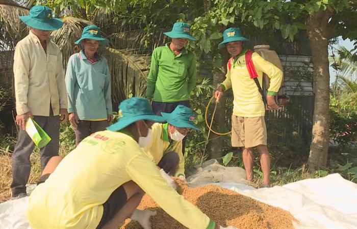  Cây khỏe nhà nông khỏe (22-10-2022)