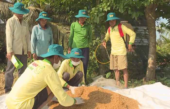 Cây khỏe Nhà nông khỏe: Làm nông có lời - Cây khỏe từ A-Z-comcat A- Z (28-10-2023)