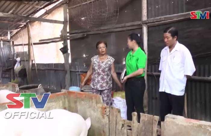 Châu Thành chuẩn bị nguồn gia súc, gia cầm cung ứng thị trường Tết