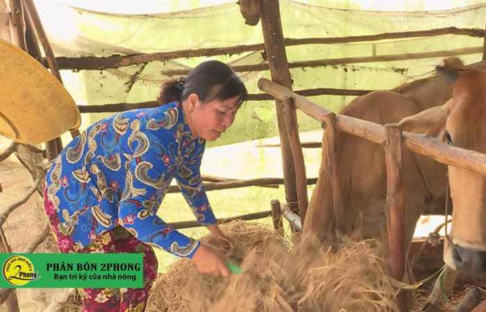 Chị Nguyễn Thị Lộng - Giỏi việc nước đảm việc nhà