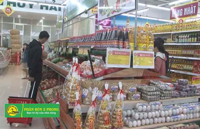 Chuẩn bị hàng hóa phục vụ Tết Nguyên đán 2019