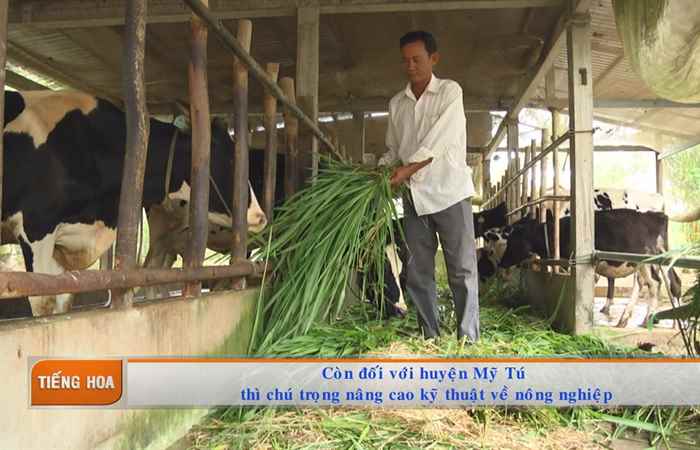 Chương trình tiếng Hoa (03-02-2020)