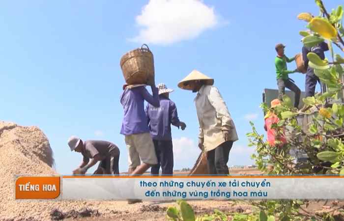 Chương trình tiếng Hoa (04-03-2024)