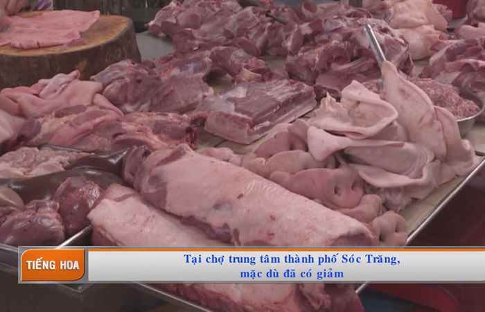 Chương trình tiếng Hoa (04-05-2020)