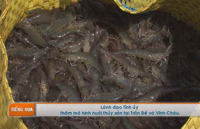 Chương trình tiếng Hoa 04-06-2018