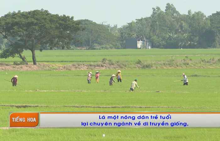Chương trình tiếng Hoa (04-12-2023)