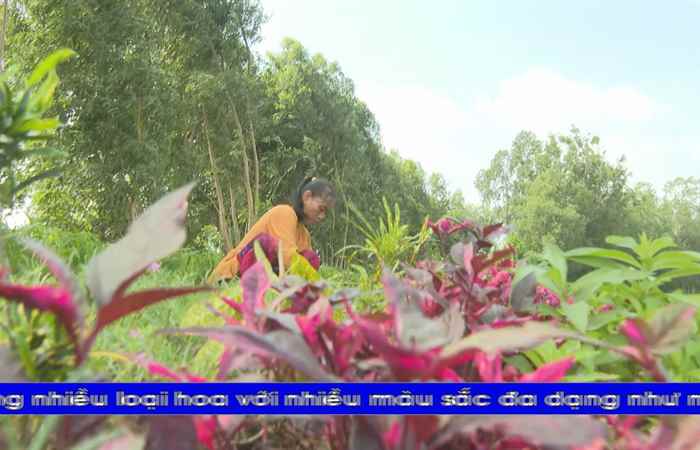 Chương trình tiếng Hoa (05-08-2024)