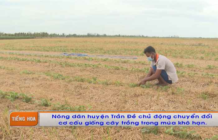 Chương trình tiếng Hoa (07-03-2022)