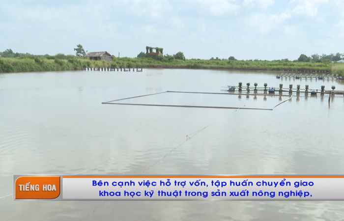 Chương trình tiếng Hoa (08-11-2021)