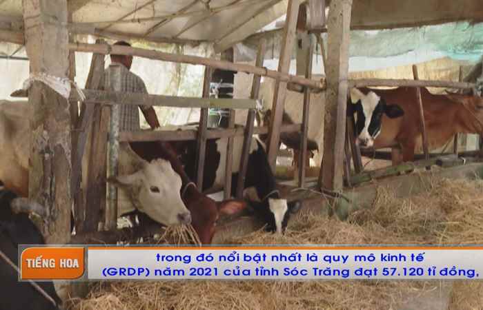  Chương trình tiếng Hoa (09-05-2022)