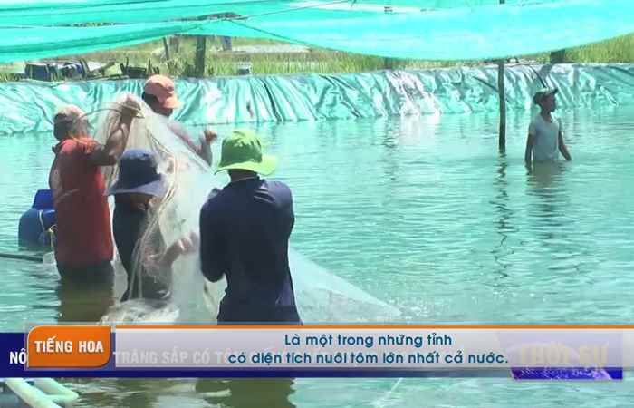 Chương trình tiếng Hoa 09-07-2018