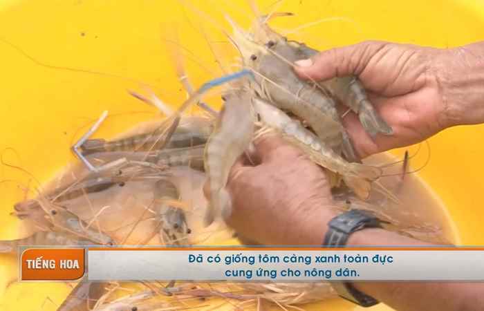 Chương trình tiếng Hoa 09-10-2017