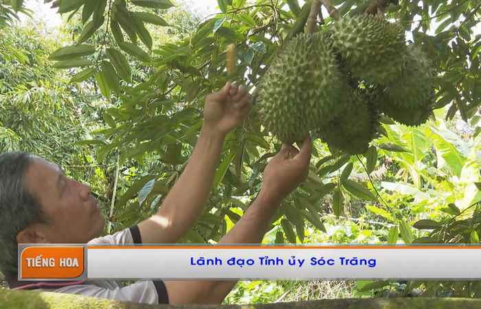  Chương trình tiếng Hoa (10-10-2022)
