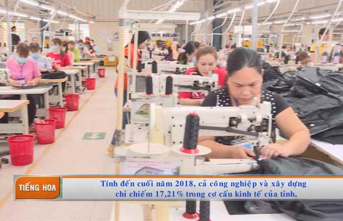 Chương trình tiếng Hoa 11-03-2019