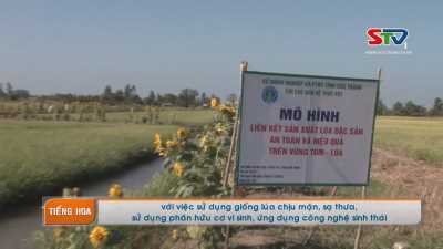 Chương trình tiếng Hoa 12-05-2016