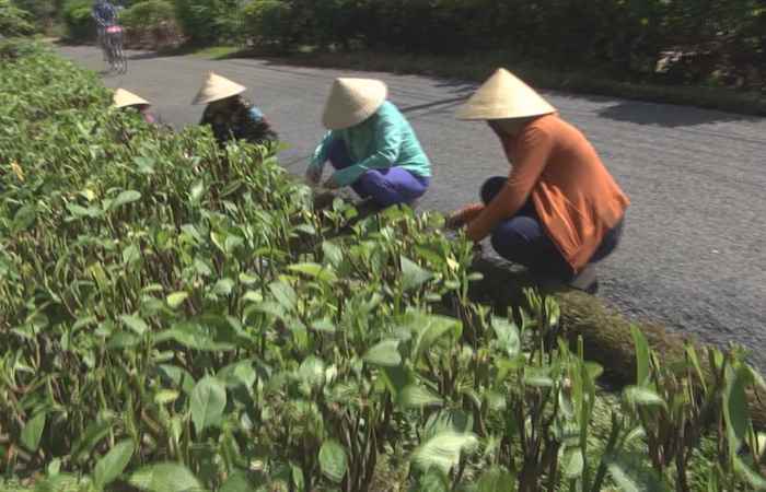  Chương trình tiếng Hoa (13-07-2020)