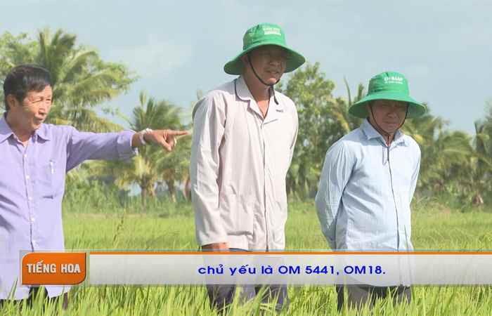 Chương trình tiếng Hoa (14-08-2023)