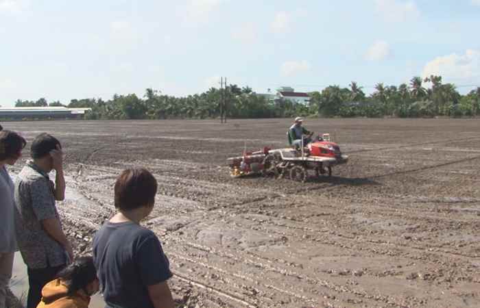 Chương trình tiếng Hoa (17-08-2020)