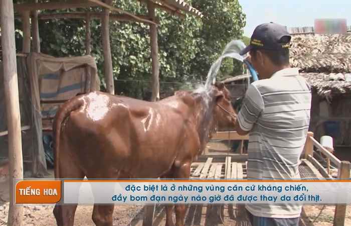 Chương trình tiếng Hoa 17-09-2018