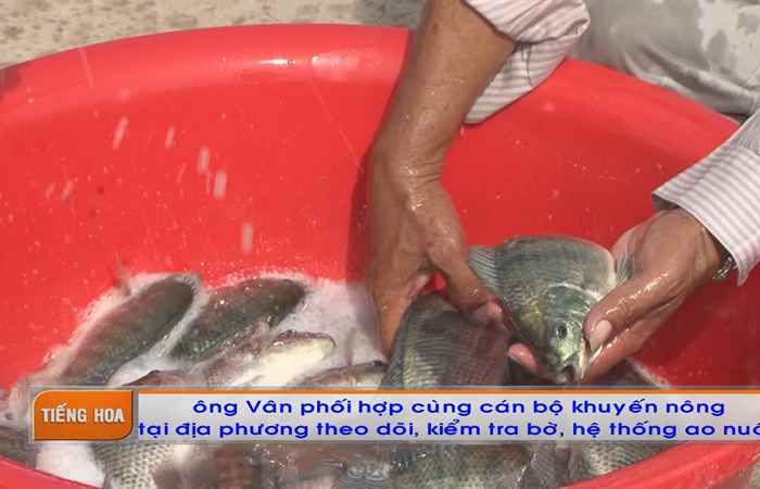 Chương trình tiếng Hoa (19-05-2025)