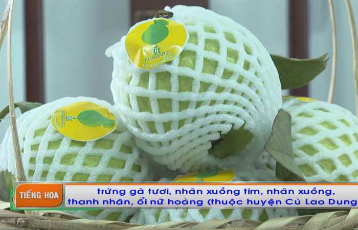 Chương trình tiếng Hoa (20-12-2021)