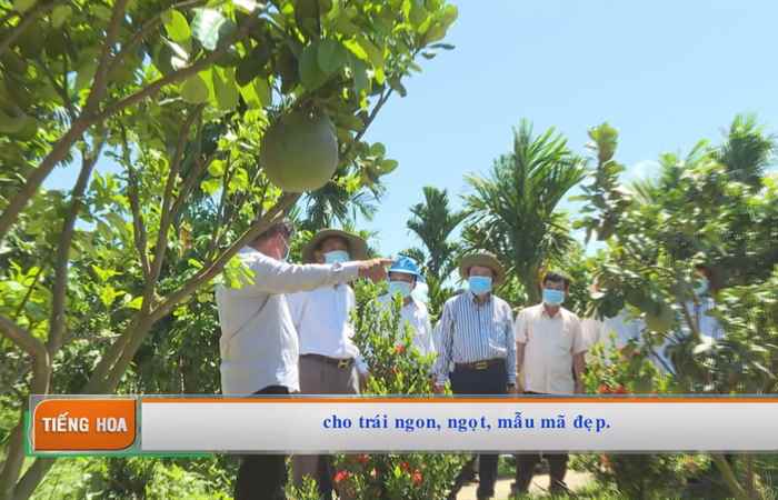 Chương trình tiếng Hoa (21-06-2021)