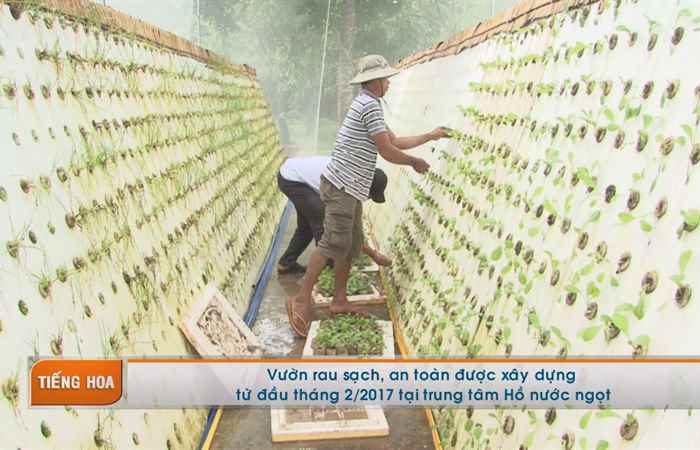 Chương trình tiếng Hoa 22-05-2017