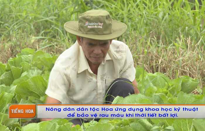 Chương trình tiếng Hoa (24-07-2023)