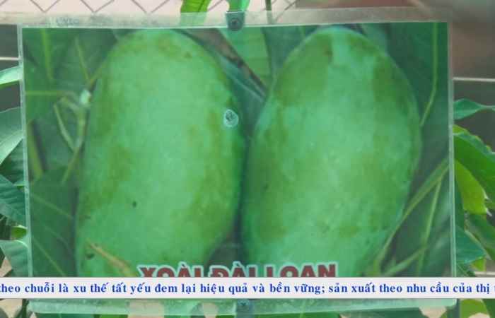 Chương trình tiếng Hoa (25-05-2020)