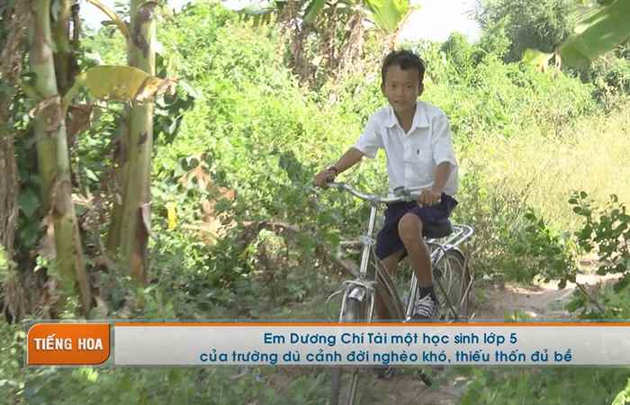 Chương trình tiếng Hoa 28-01-2019