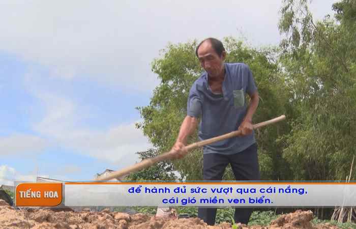 Chương trình tiếng Hoa (28-08-2023)