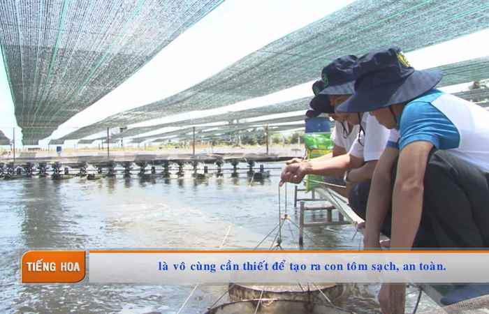 Chương trình tiếng Hoa (29-03-2021)