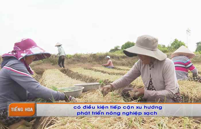 Chương trình tiếng Hoa (30-01-2023)