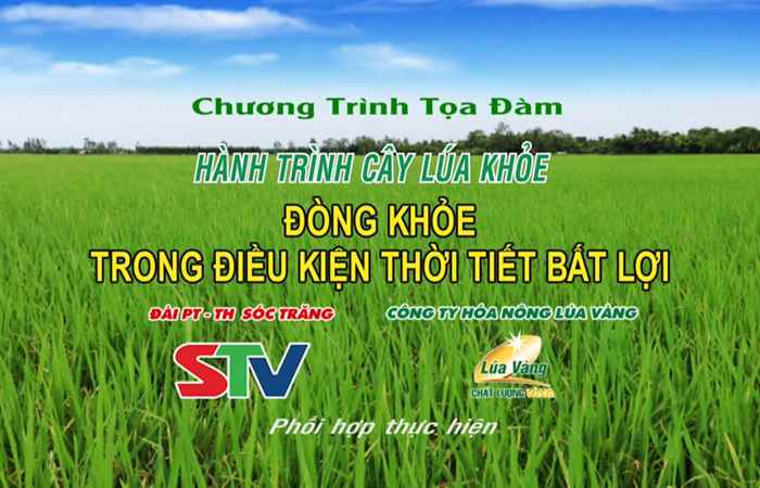 Chương trình tọa đàm 05-12-2017