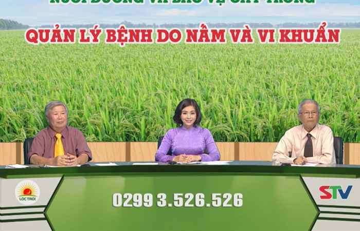 Chương trình tọa đàm 23-11-2017