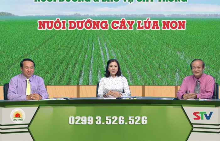 Chương trình tọa đàm 24-05-2018
