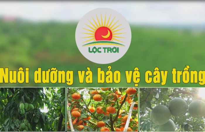 Chương trình tọa đàm 29-03-2018
