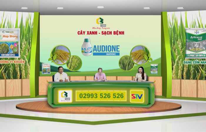 Chương trình tọa đàm với chủ đề: Cây xanh - Sạch bệnh (23-12-2021)