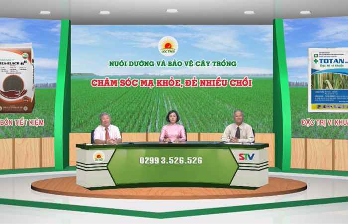 Chương trình tọa đàm Chăm sóc mạ khỏe để nhiều chồi 19-10-2017