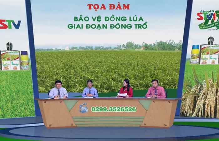 Chương trình tọa đàm công ty Hợp Trí - Bảo vệ lúa giai đoạn đồng trổ 19-01-2018