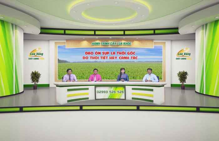 Chương trình tọa đàm Đạo ôn sụp lá thối gốc do thời tiết hay canh tác 17-06-2019