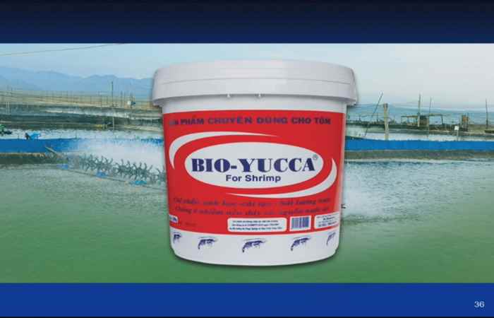 Chương trình tọa đàm - Đồng hành cùng bà con chăn nuôi - Quản lý chất thải và bổ sung khoáng chất trong ao tôm 08-04-2017