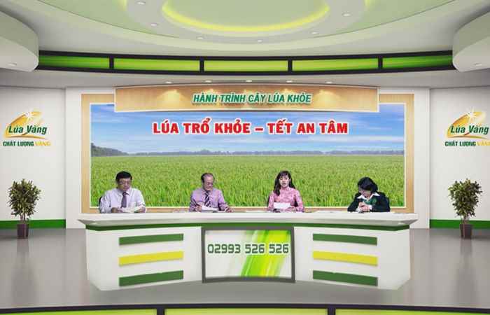 Chương trình tọa đàm: Hành trình cây lúa khỏe - Lúa trổ khỏe, tết an tâm (04-02-2021)