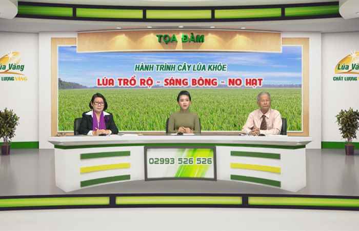 Chương trình tọa đàm - Hành trình cây lúa khỏe lúa trổ rộ - sáng bông - no hạt 28-12-2017